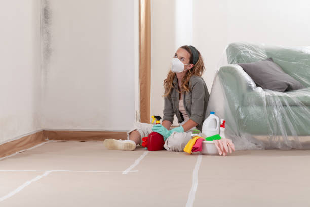 Trusted Mold Inspection service in Beverly, NJ - Cheap Mold Removal