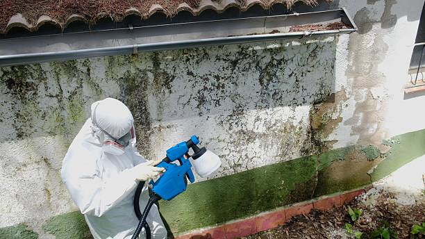 Trusted Mold Testing service in Beverly, NJ - Cheap Mold Removal